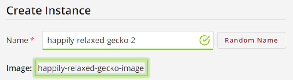 Instance creation name and image fields, with the image field highlighted in green