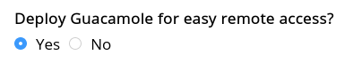 A screenshot of the "Deploy Guacamole for easy remote access?" radio buttons
