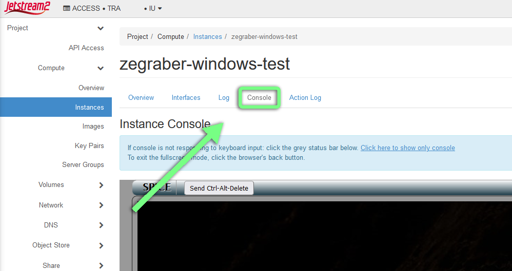 A screenshot of the Horizon console, pointing out the "Console" tab