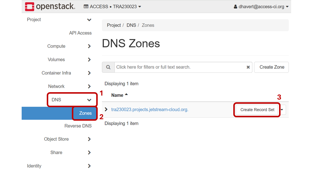 Screenshot of "DNS Zones" Page in Horizon interface