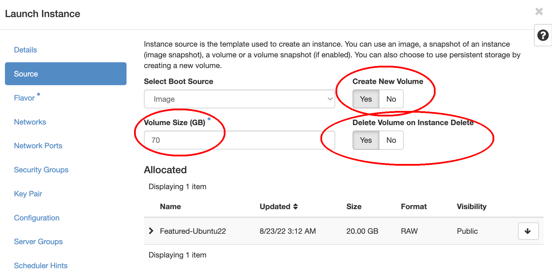 Screenshot of the "Launch Instance" modal's "Source" tab. The "Create New Volume," "Volume Size (GB)," and "Delete Volume on Insatnce Delete" fields are circled in red.