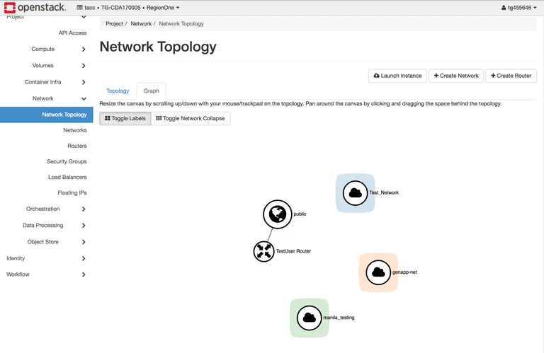Screenshot of the "Network Topology" page in Horizon with several networks visible