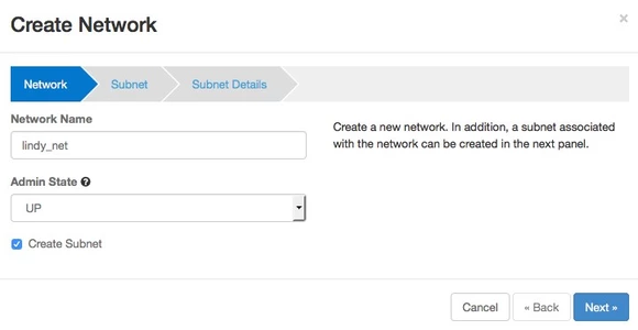 Screenshot of the "Create Network" modal's "Network" options