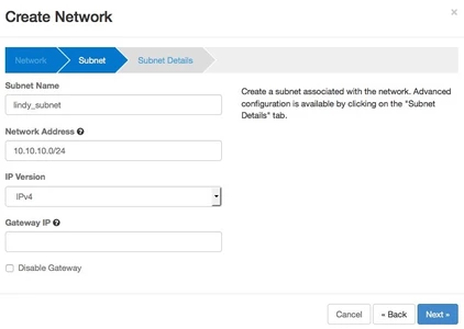 Screenshot of the "Create Network" modal's "Subnet" options