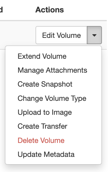 Screenshot of the expanded volume actions dropdown