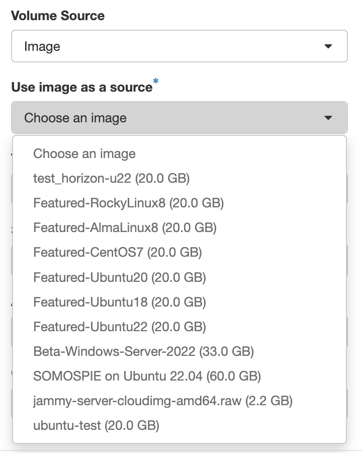 Screenshot highlighting the "Volume Source" and "Use image as a source" dropdowns